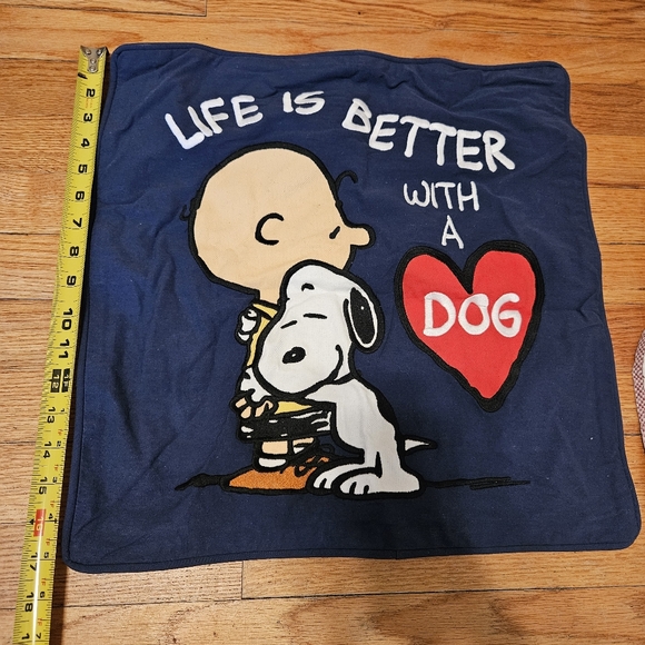 Pottery Barn Teen PEANUTS Pillow Sham Cases Pair (2) - Picture 13 of 15